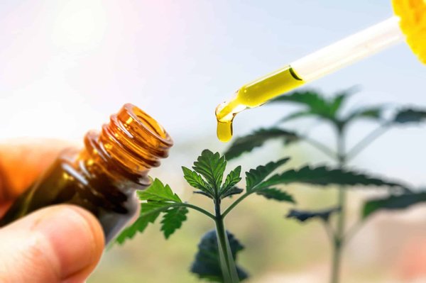 Quels sont les avantages d'une meilleure huile CBD ?