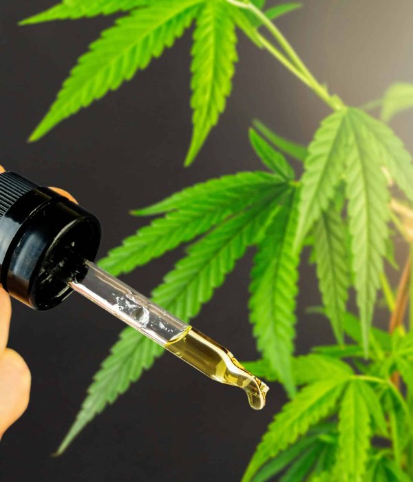 Trouver votre bonheur : quel est le meilleur site cannabidiol le plus recommandé ?